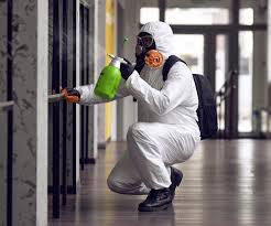 Best Mold Prevention Services  in Mount Zion, GA